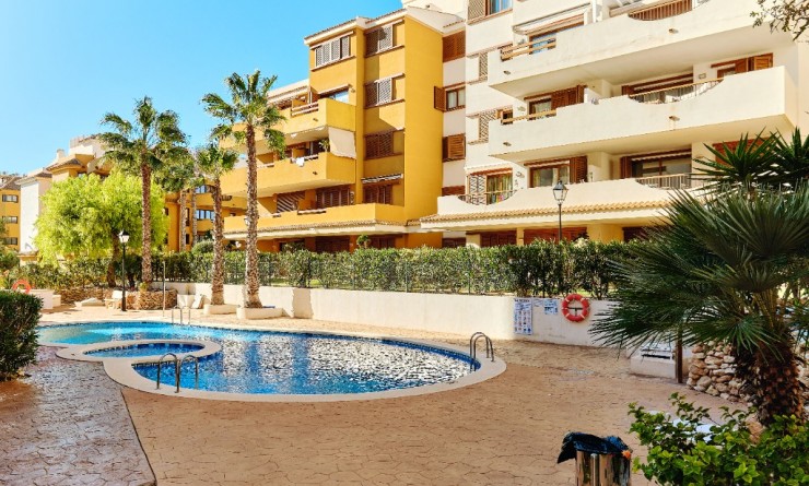 Korte termijn verhuur - Appartement - Punta Prima - La Entrada