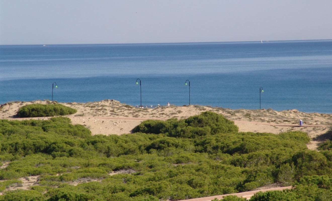 Nouvelle construction - Semi - Detached Villa - La marina