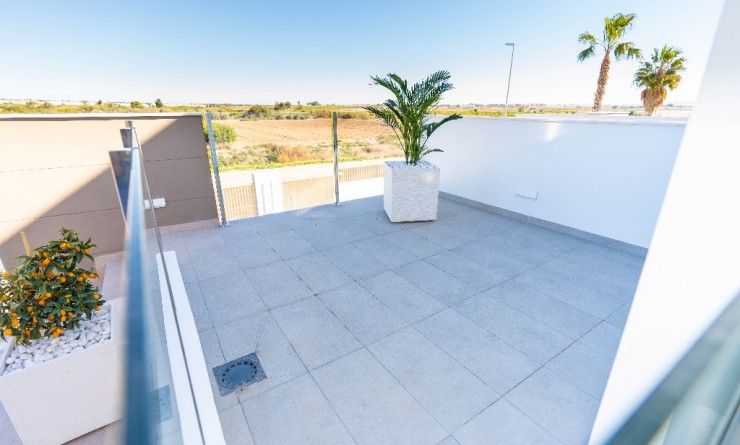 Nieuwbouw woningen - Villa - Guardamar del Segura - guardamar del segura