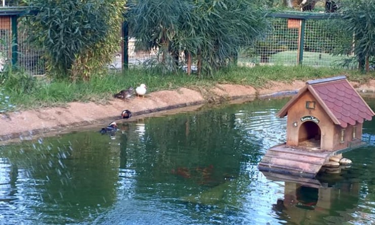 Nieuwbouw woningen - Villa - Murcia