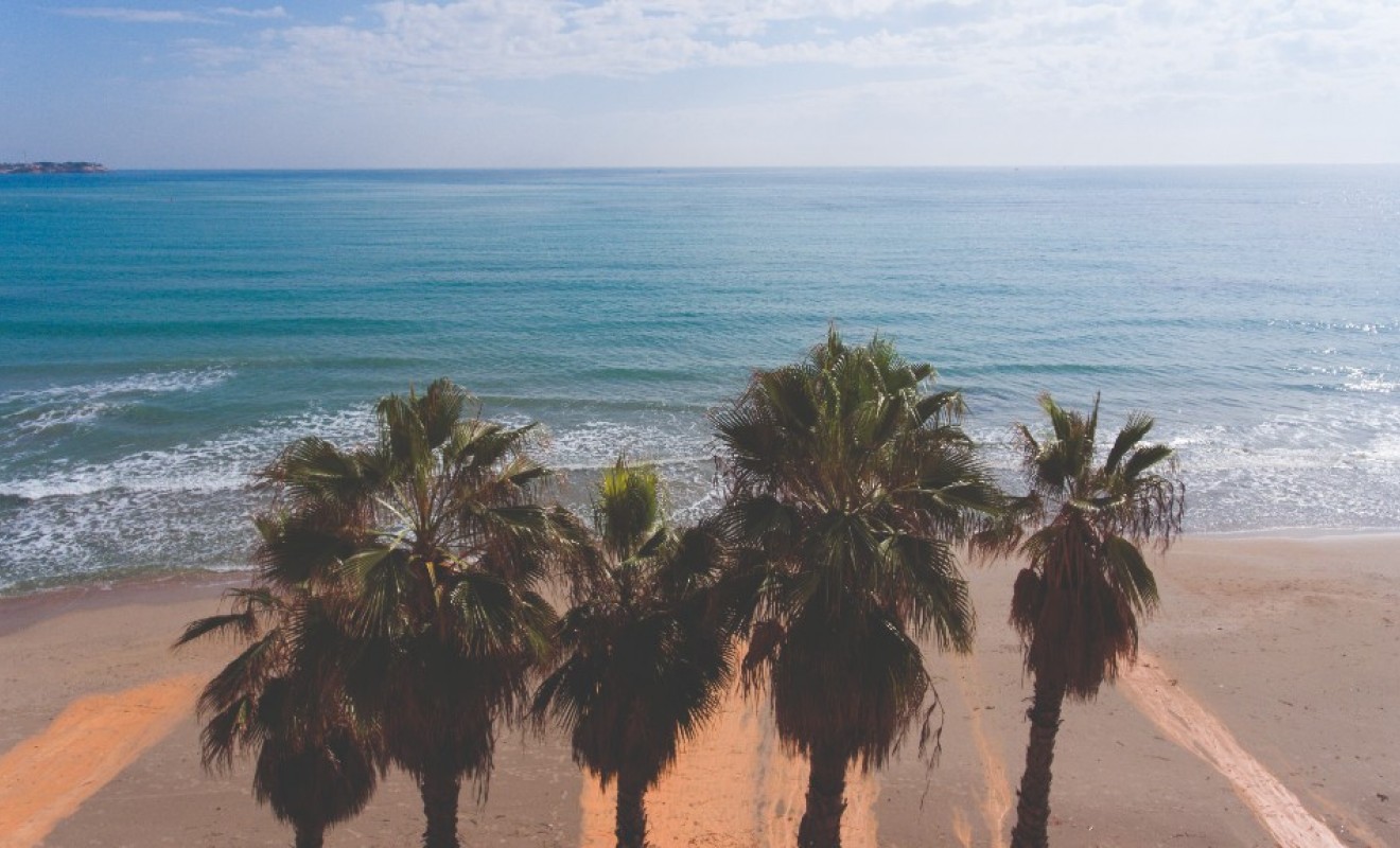 New Build - Apartment - Campoamor