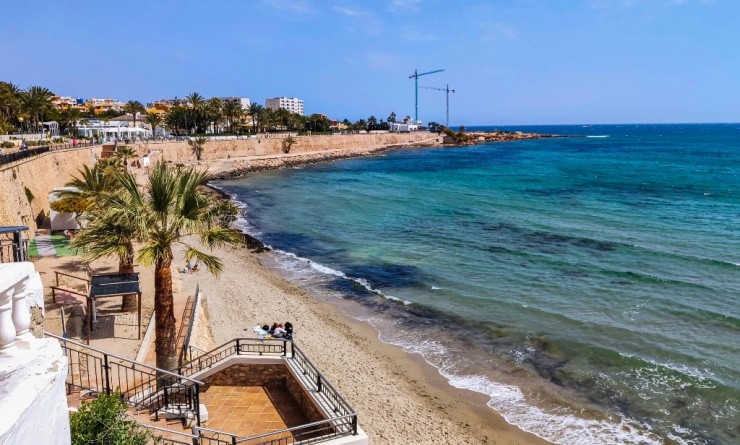 Nouvelle construction - Appartement - Torrevieja - torrevieja