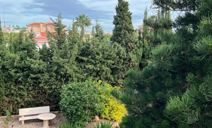 Wederverkoop - Villa - Ciudad quesada