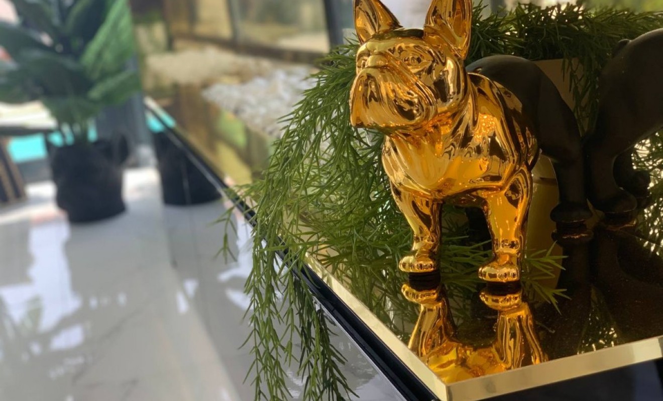 Nouvelle construction - Villa - Torrevieja - torrevieja