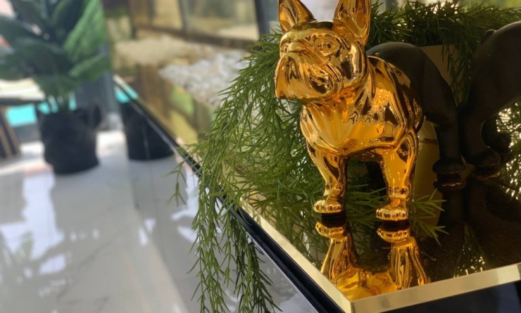 Nouvelle construction - Villa - Torrevieja - torrevieja