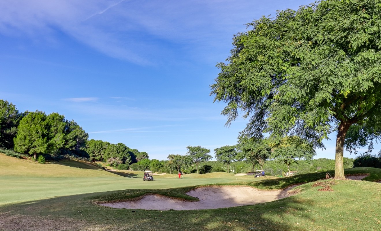 Wederverkoop - Appartement - Las Colinas - Las Colinas Golf