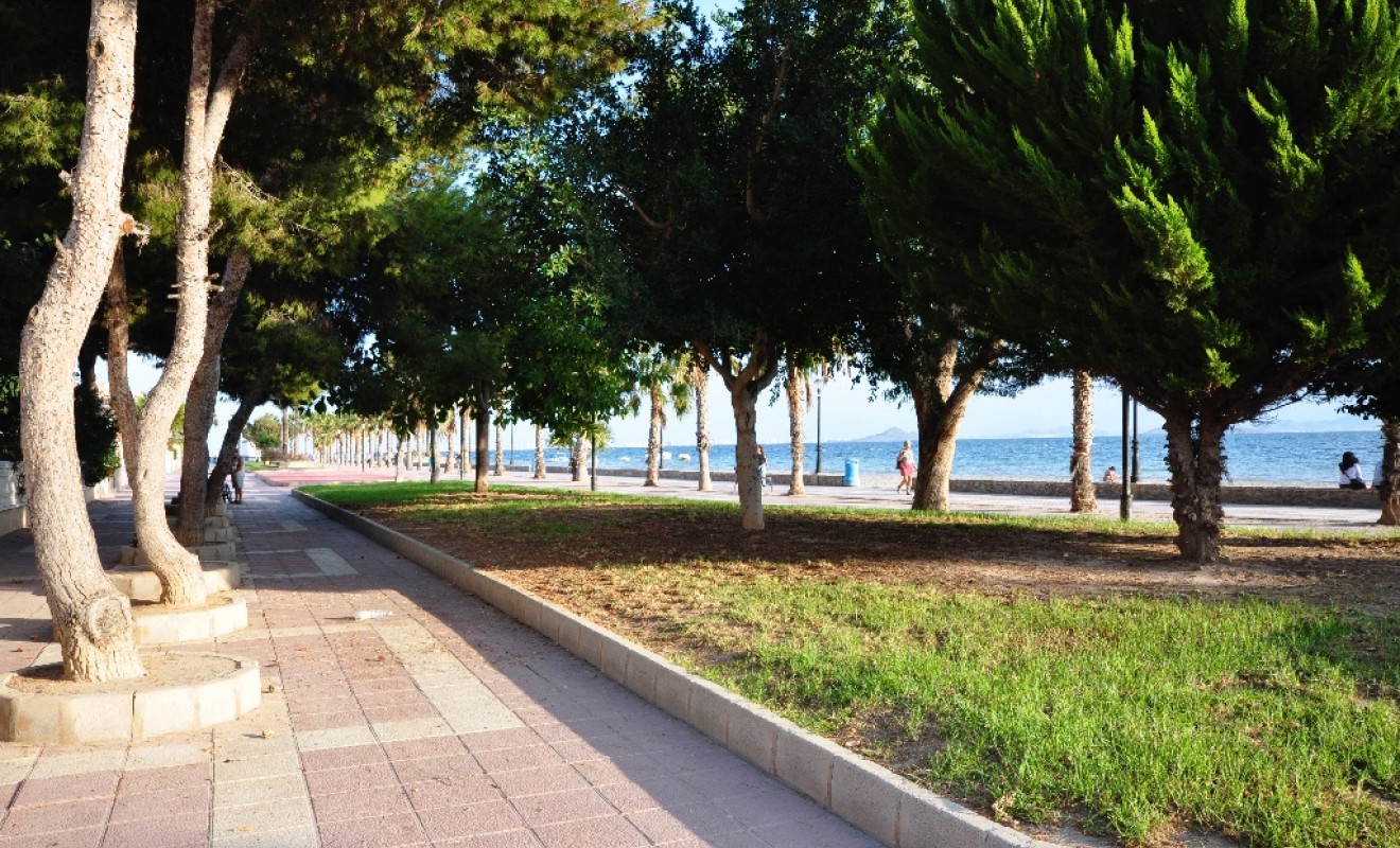 New Build - Villa - Los Alcázares