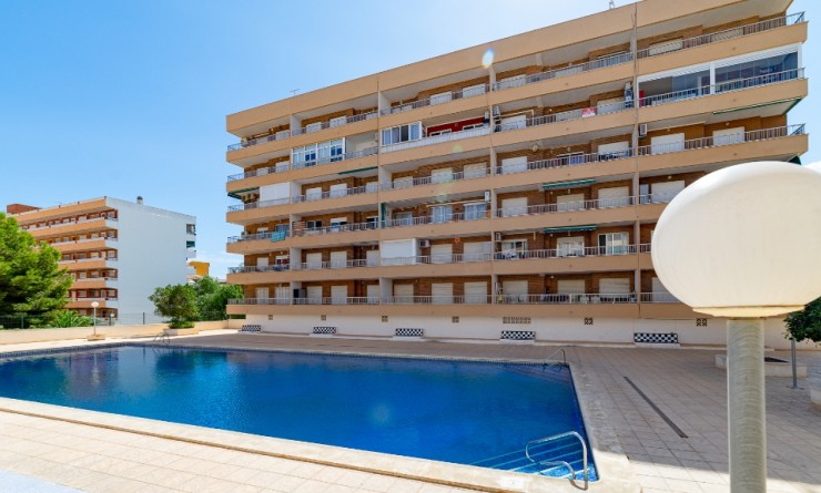 Revente - Appartement - Punta Prima