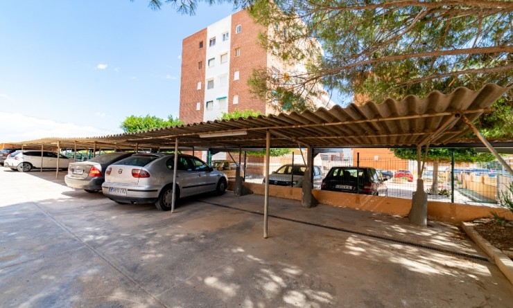 Revente - Appartement - Punta Prima