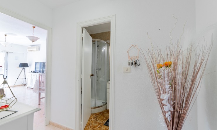 Revente - Appartement - Punta Prima