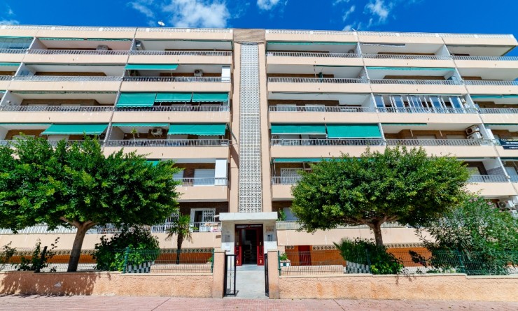 Revente - Appartement - Punta Prima