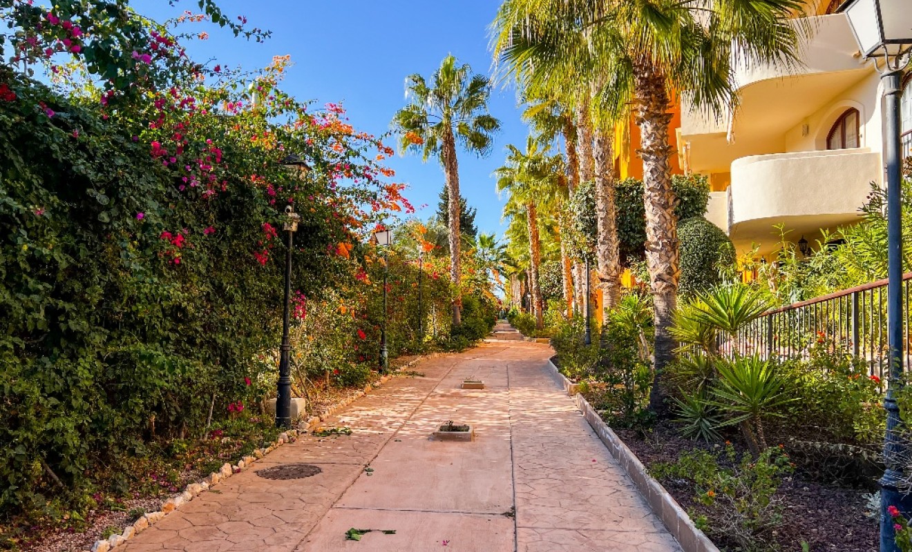 Sale - Apartment - Punta Prima