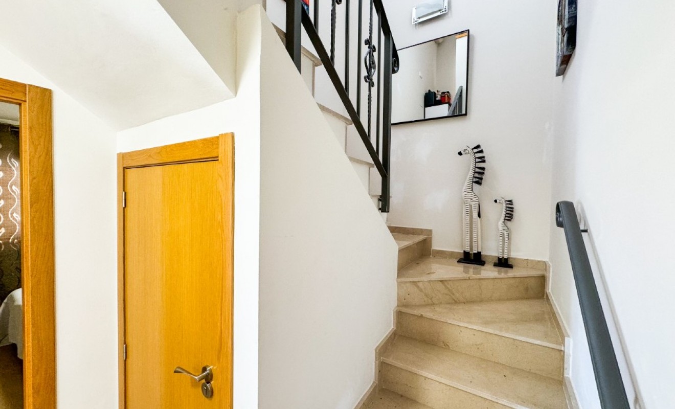 Korte termijn verhuur - Appartement - Playa Flamenca - Zeniamar