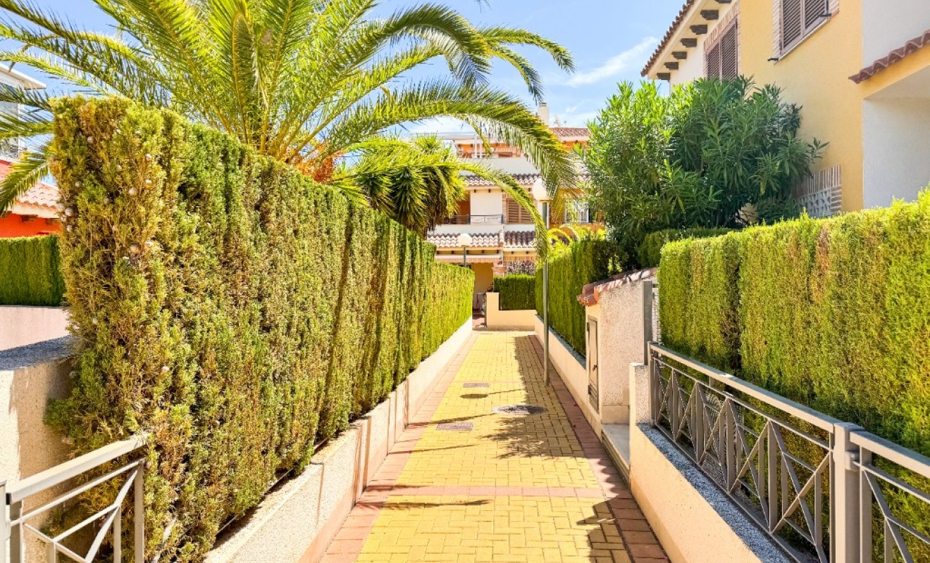 Korte termijn verhuur - Appartement - Playa Flamenca - Zeniamar