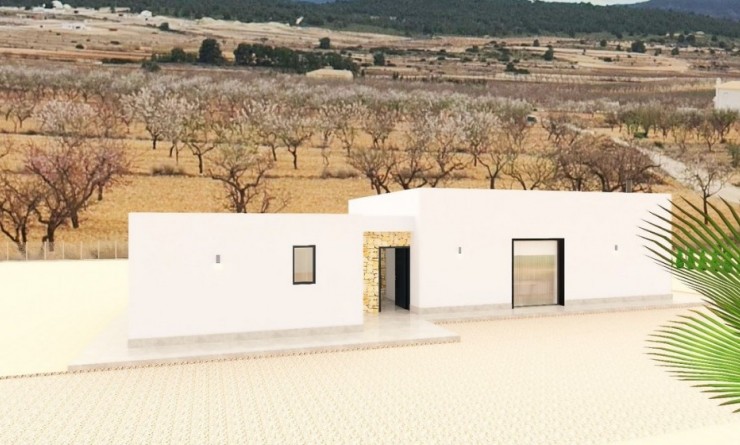 Nieuwbouw woningen - Villa - Pinoso - Lel