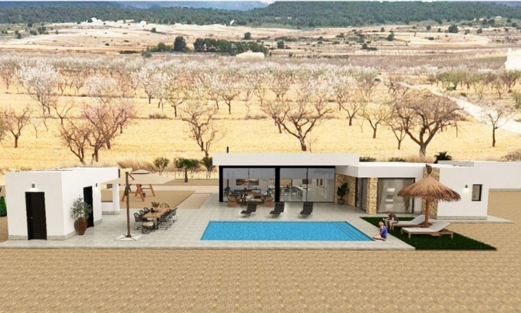 Nieuwbouw woningen - Villa - Pinoso - Lel