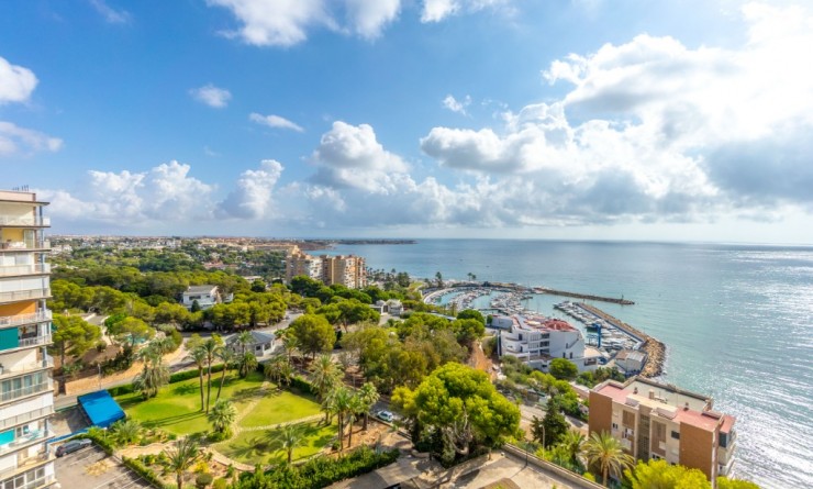 Sale - Apartment - Campoamor