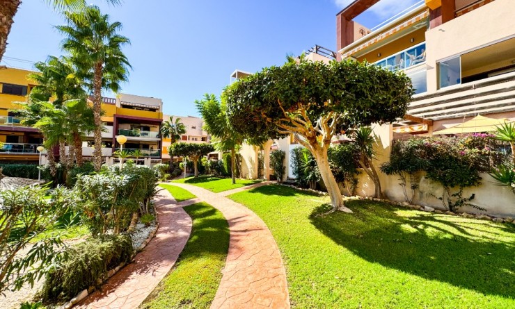 Wederverkoop - Appartement - Playa Flamenca