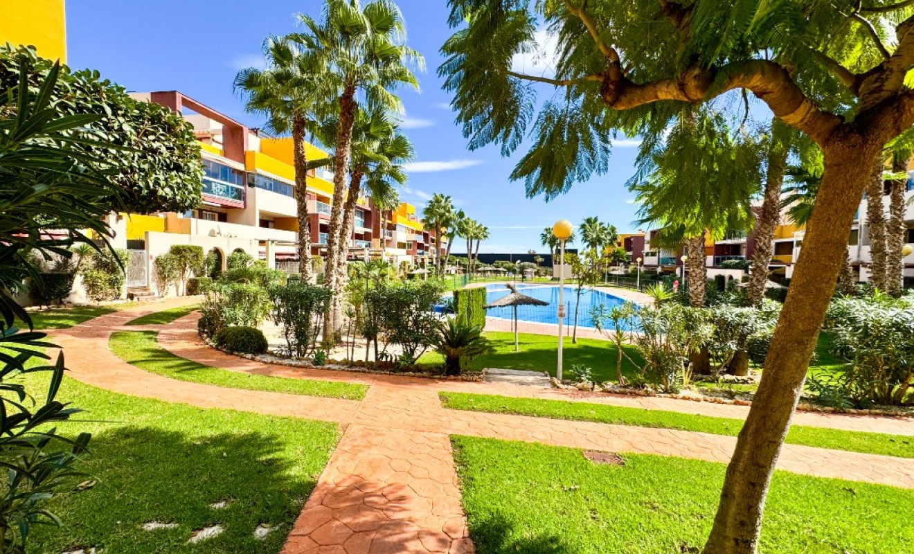 Wederverkoop - Appartement - Playa Flamenca