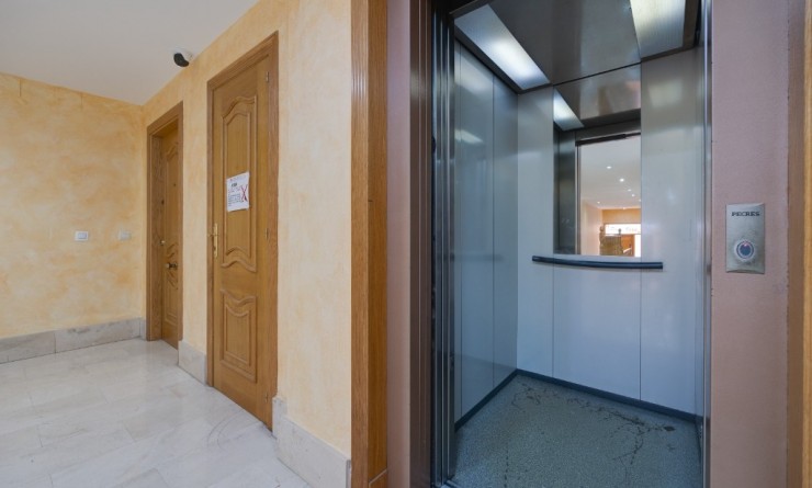 Sale - Apartment - Torrevieja - torrevieja