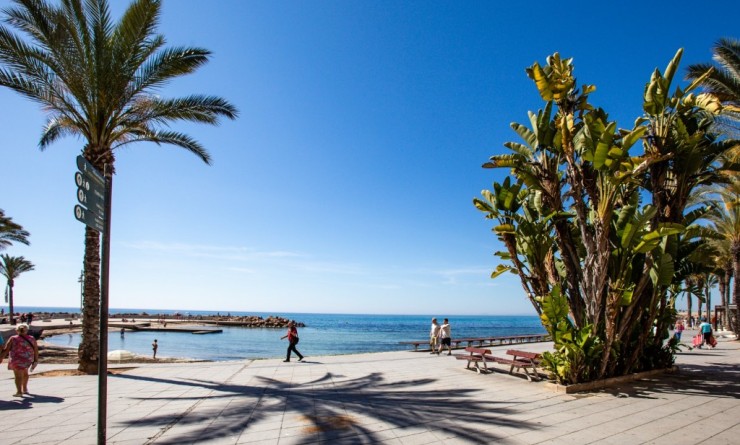 Sale - Apartment - Torrevieja - torrevieja