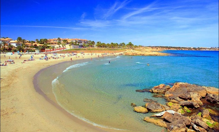 Sale - Apartment - Orihuela Costa - Playa Flamenca