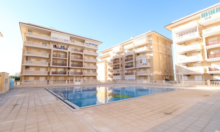 Sale - Apartment - La Mata