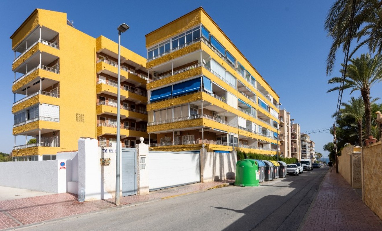 Revente - Appartement - Punta Prima