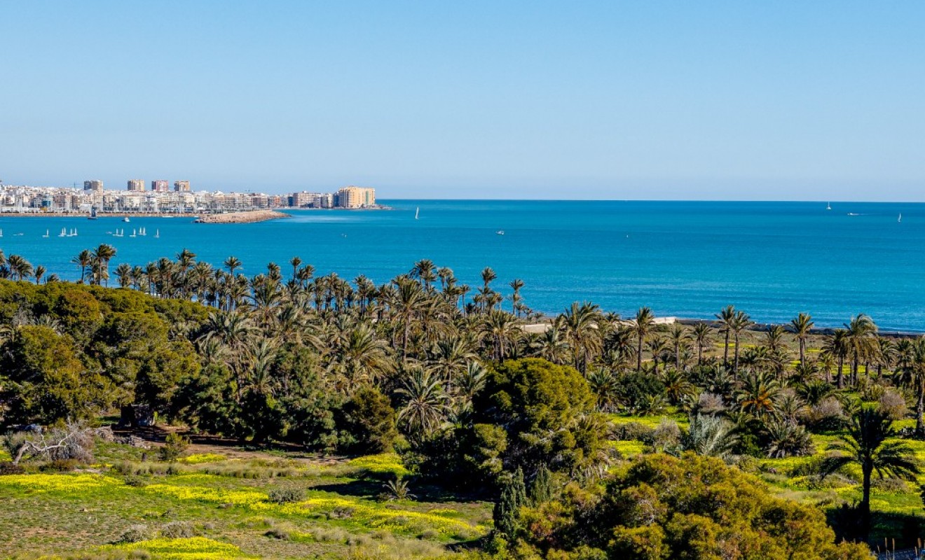 Revente - Appartement - Punta Prima