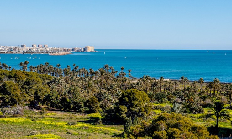 Revente - Appartement - Punta Prima