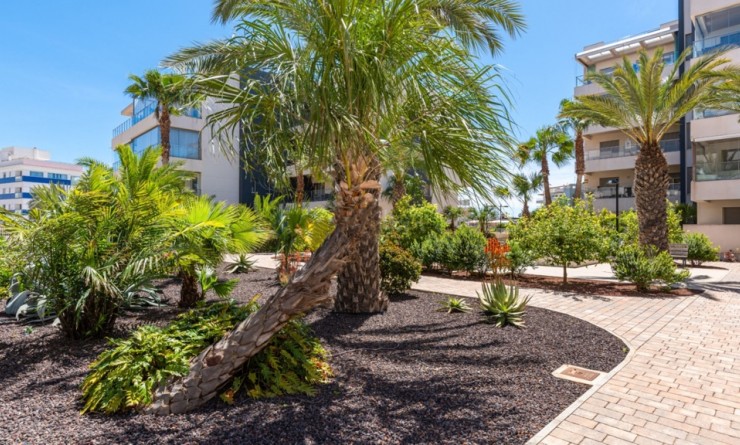 Wederverkoop - Appartement - Orihuela Costa - Villamartín