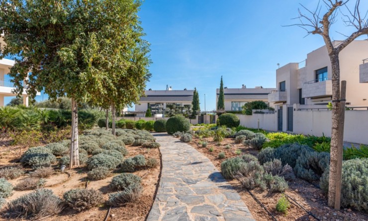 Revente - Appartement - Los Dolses