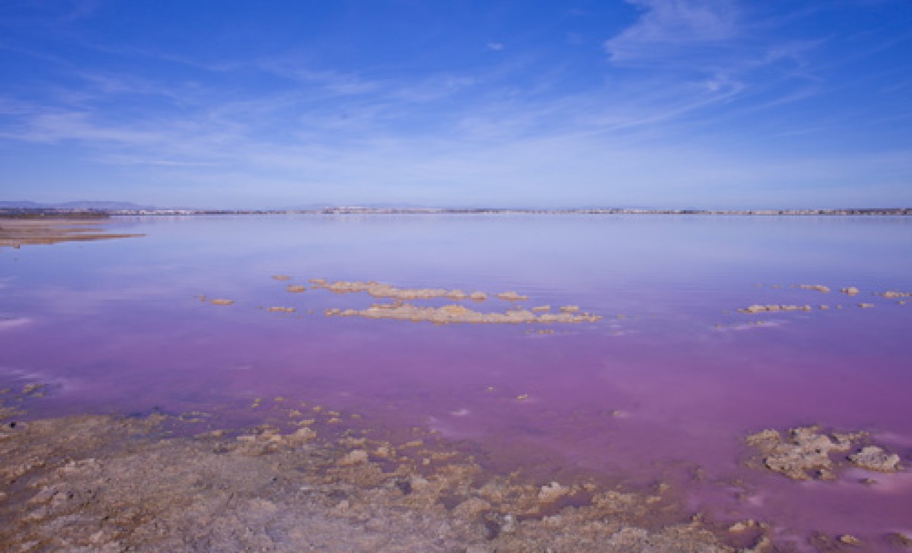 Revente - Villa - Torrevieja - Los altos