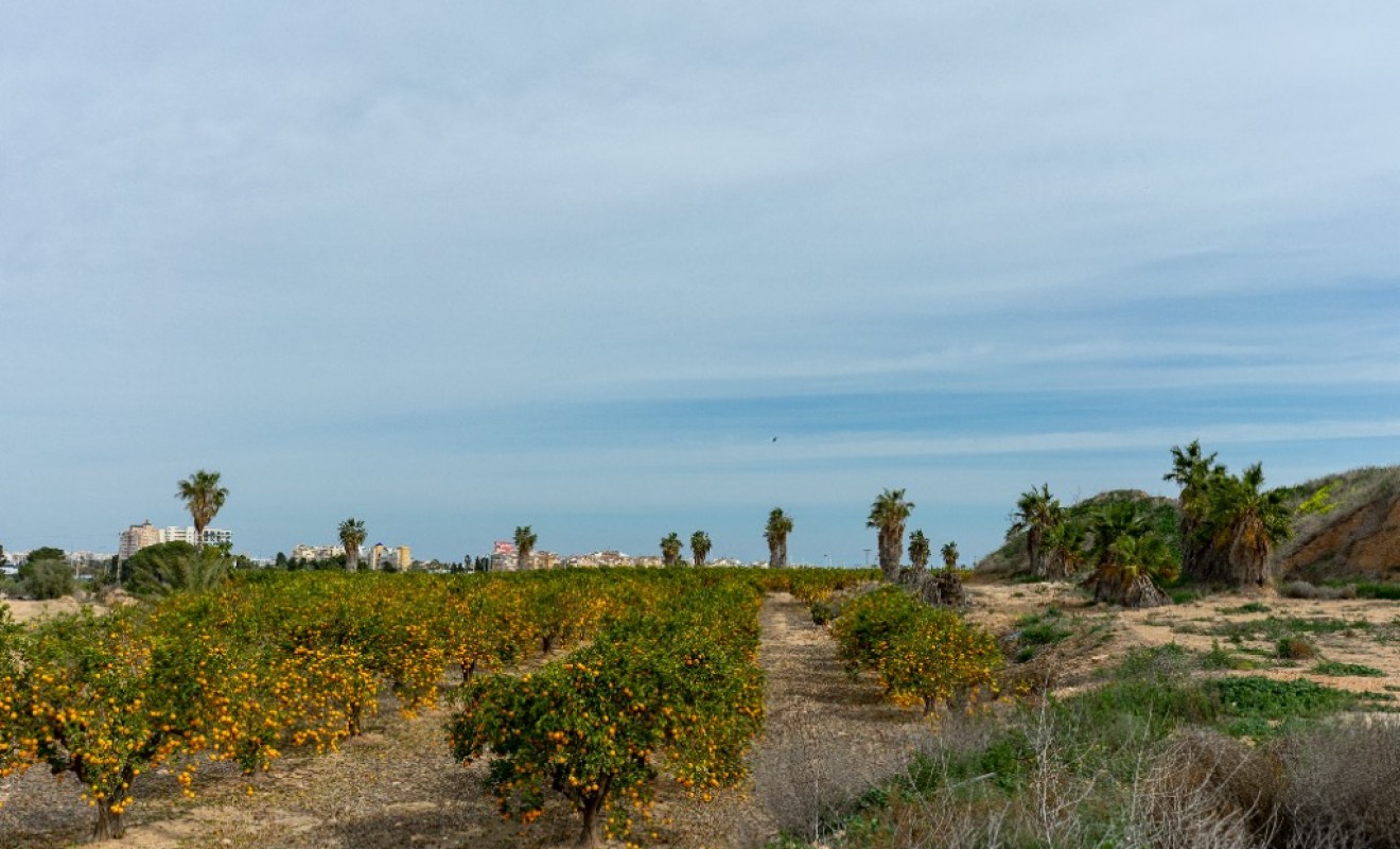 Revente - Villa - Torrevieja - Los altos