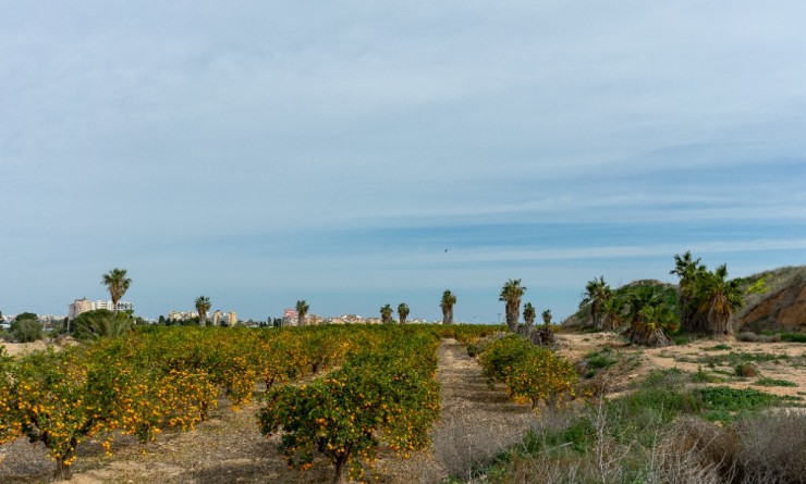 Revente - Villa - Torrevieja - Los altos