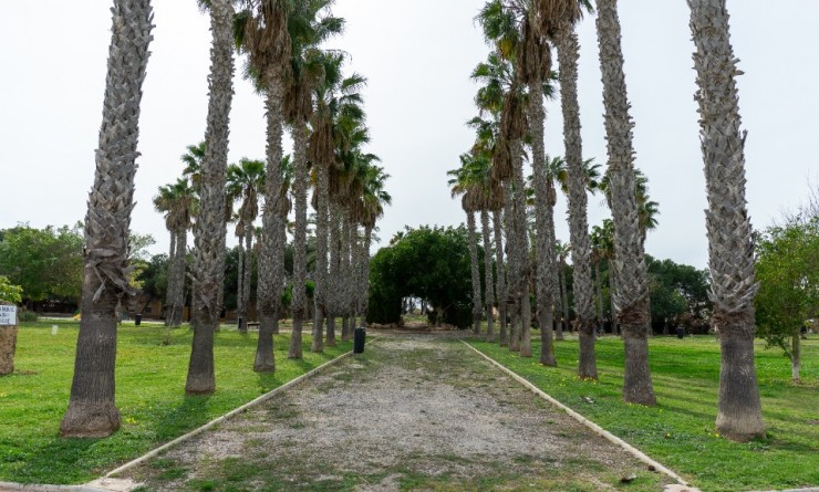 Revente - Villa - Torrevieja - Los altos