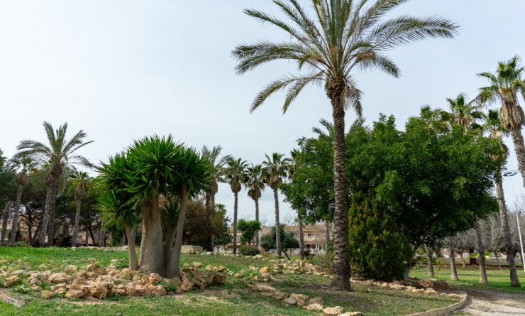 Revente - Villa - Torrevieja - Los altos