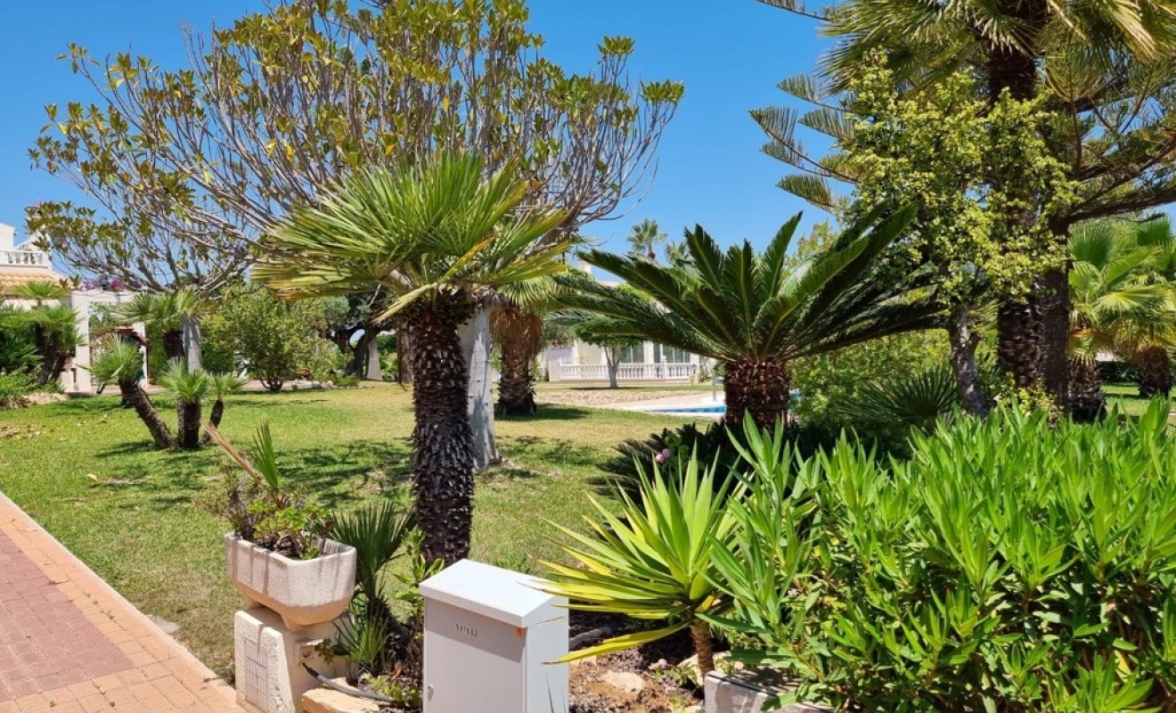 Wederverkoop - Appartement - Torrevieja - Los balcones