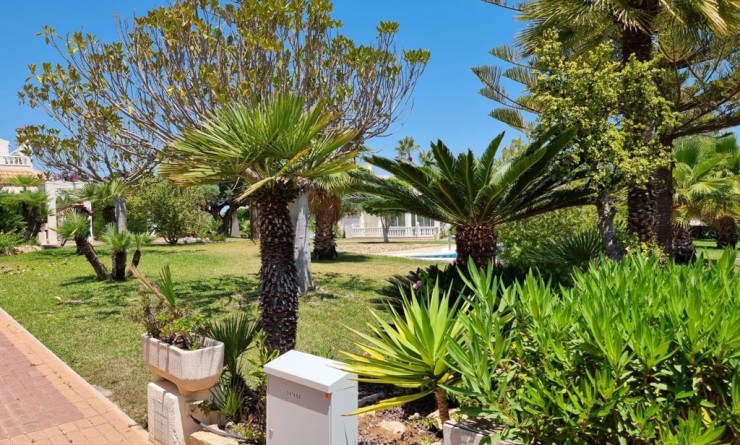 Wederverkoop - Appartement - Torrevieja - Los balcones