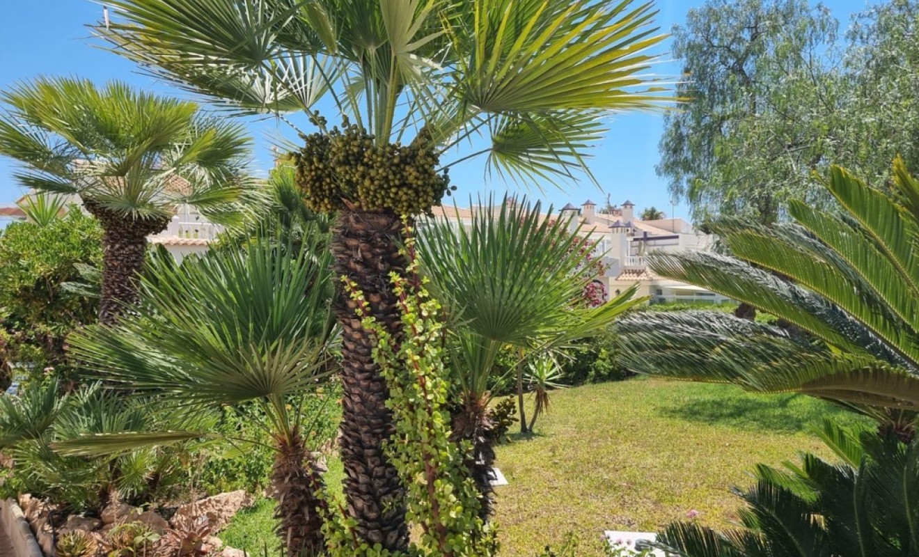 Wederverkoop - Appartement - Torrevieja - Los balcones