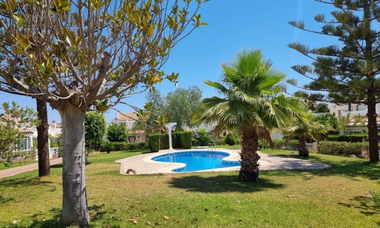 Wederverkoop - Appartement - Torrevieja - Los balcones