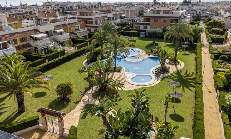 Sale - Apartment - Playa Flamenca - Zeniamar