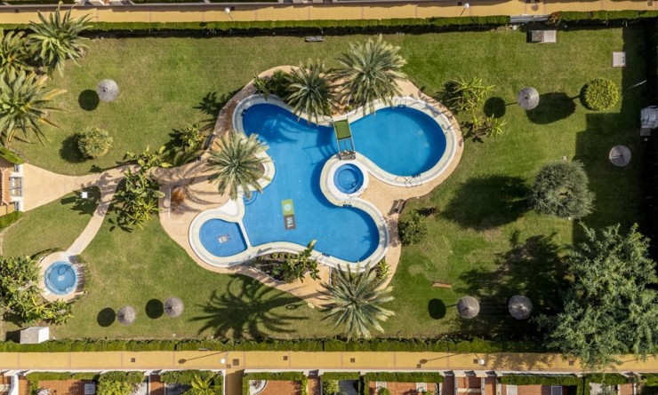 Sale - Apartment - Playa Flamenca - Zeniamar