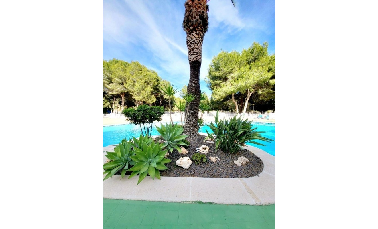 Revente - Appartement - Dehesa de Campoamor