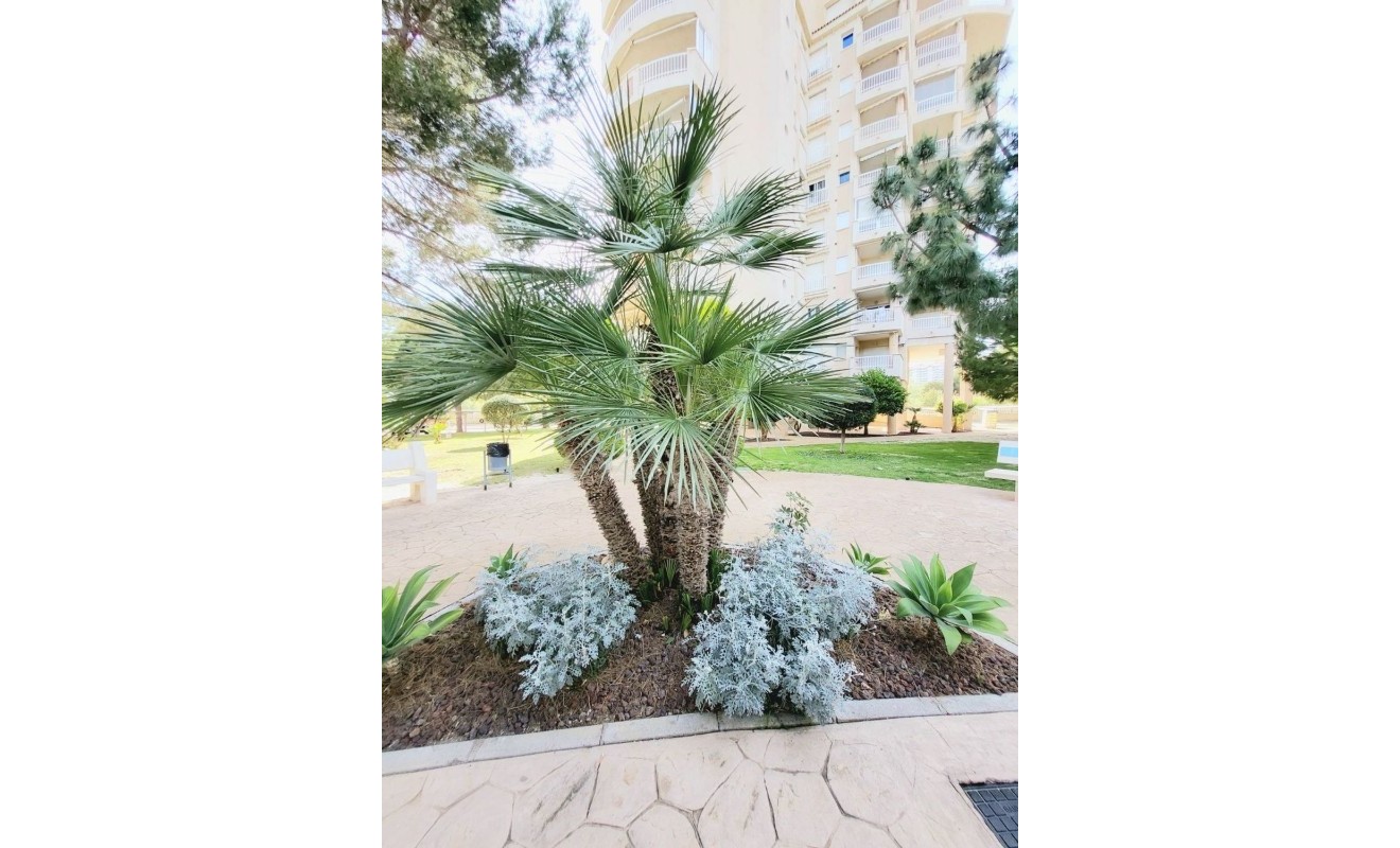 Revente - Appartement - Dehesa de Campoamor