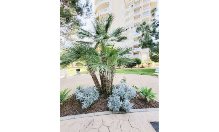 Revente - Appartement - Dehesa de Campoamor