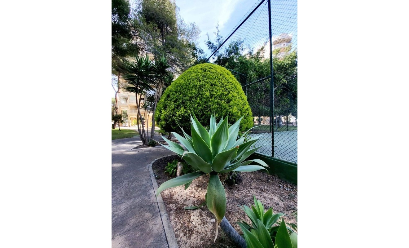 Revente - Appartement - Dehesa de Campoamor