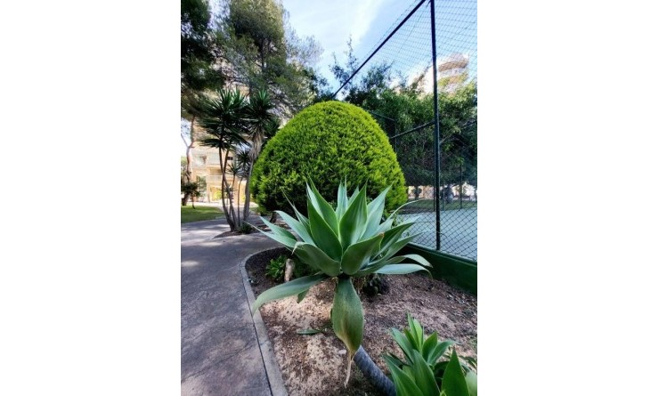 Revente - Appartement - Dehesa de Campoamor