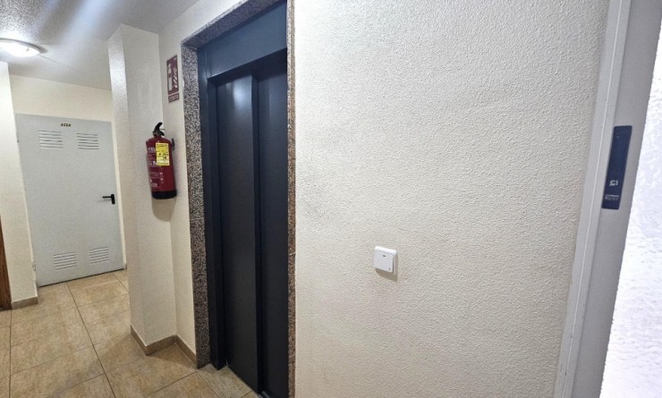 Sale - Apartment - Torrevieja - torrevieja