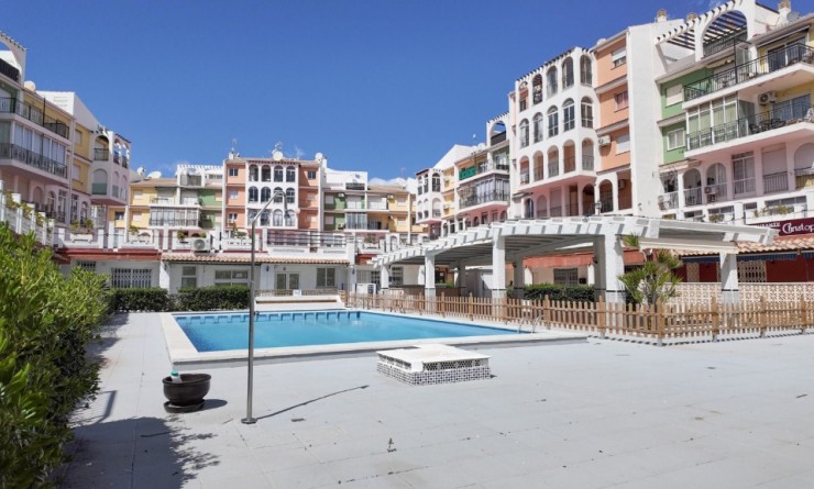 Wederverkoop - Appartement - Torrevieja - La veleta